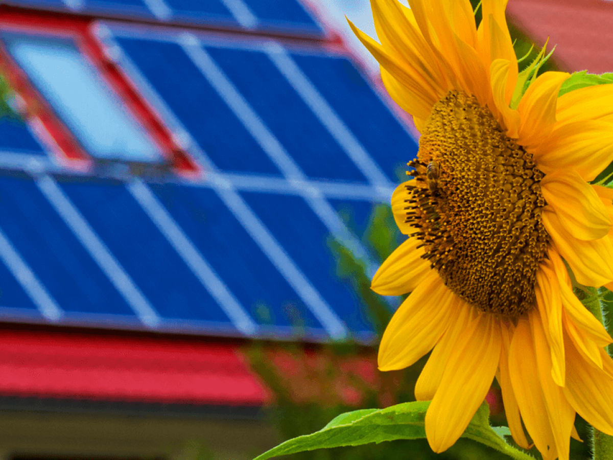 Chegou a primavera! A melhor época para instalar sistema